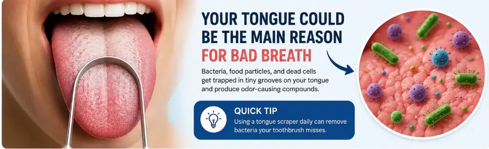 Your Tongue Might Be The Reason For Bad Breath Your Tongue Might Be The Reason For Bad Breath