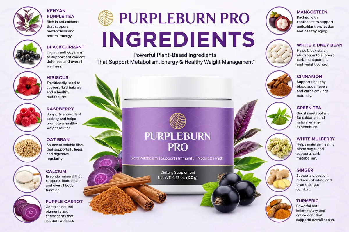 PurpleBurn Pro Ingredients PurpleBurn Pro ingredients including Kenyan purple tea, blackcurrant, hibiscus, raspberry, purple carrot, cinnamon, green tea, ginger and turmeric