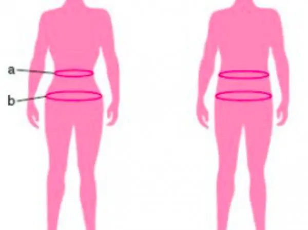 Ideal Waist To Hip Ratio