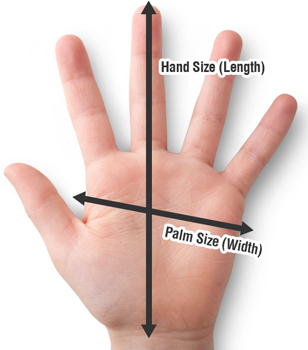 Hand and Palm Size